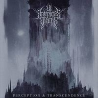 Ut Interficias Inanis - Perception & Transcendence