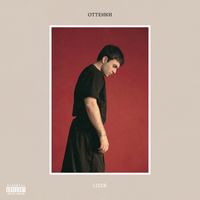 Lizer - Оттенки