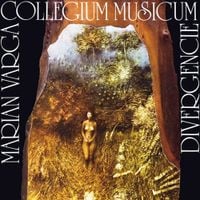 Collegium Musicum - Divergencie