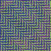 Albums in One Minute - Merriweather Post Pavilion