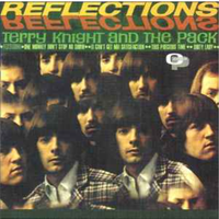 Terry Knight And The Pack - Reflections