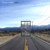 Bryan Beller - View