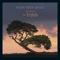 The Triffids - Wide Open Road: The Best of the Triffids