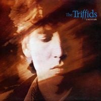 The Triffids - Calenture