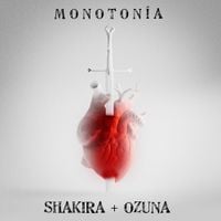 Shakira - Monoton&iacute;a