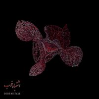 Bahram - Good Mistake