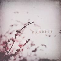 Da Voile - Memoria