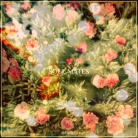 Da Voile - Soul Mates