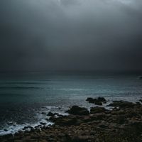 Neko Nine - Isola
