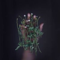I Hate Sex - This Floating World