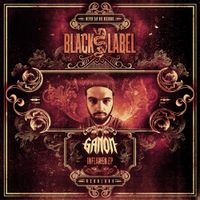 Ganon - Inflamed