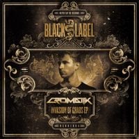 Cromatik - Invasion