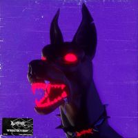 Blankface - Introduction To Riddim
