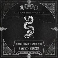 Various Artists - Black Friday Vol. 5