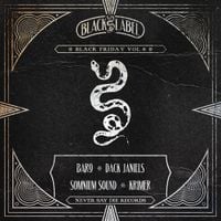 Various Artists - Black Friday Vol. 8