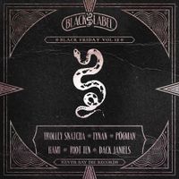 Various Artists - Black Friday Vol. 12