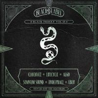 Various Artists - Black Friday Vol. 13