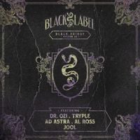 Various Artists - Black Friday Vol. 22