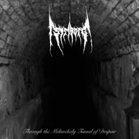Striborg - Through the Melancholy Tunnel of Despair