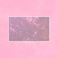 VDM - Nothing Less Than Perfect