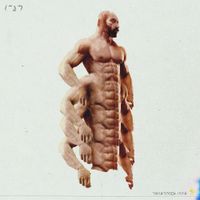 Capibara - Homunculus