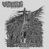 Vacuous - Dreams of Dysphoria