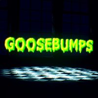 CG5 - GOOSEBUMPS