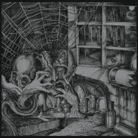 Vonlaus - R&ouml;&eth; sl&aelig;mra &aacute;kvar&eth;ana