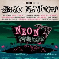 Black Flamingos - Neon Boneyard