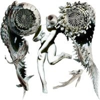 Doon Kanda - Galatea