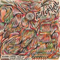 Full of Hell - Aurora Leaking from an Open Wound