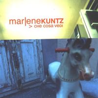 Marlene Kuntz - Che cosa vedi