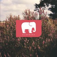 Elephant - Elephant