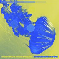 Locked Groove - 3 Variations Sur Un Th&egrave;me
