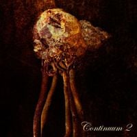 Continuum - Continuum II