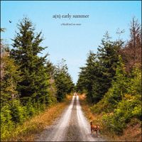 A Blackbird En Route - a(n) early summer