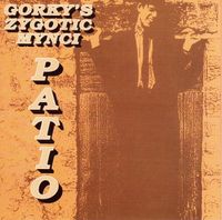 Gorky's Zygotic Mynci - Patio