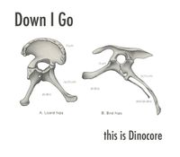 Down I Go - This is Dinocore