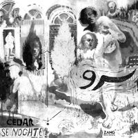 Se Noghte Band - Cedar