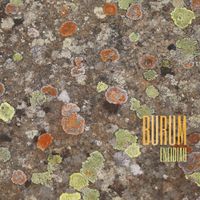 Burum - Eneidiau