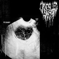 Cancelled Earth - Rudiger