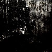 Blut aus Nord - MoRT