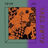 Michael Swissa - גלישה בסתר