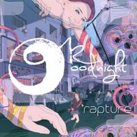 Ok Goodnight - Rapture