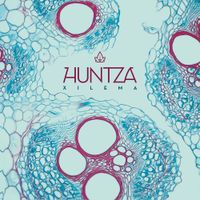 Huntza - Xilema