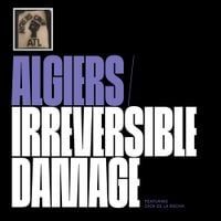 Algiers - Irreversible Damage