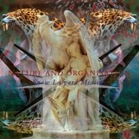 Nature and Organisation - Snow Leopard Messiah