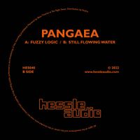 Pangaea - Fuzzy Logic / Still Flowing Water