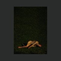 Yeah Yeah Yeahs - Wolf