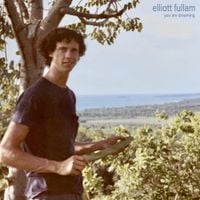 Elliott Fullam - You are dreaming